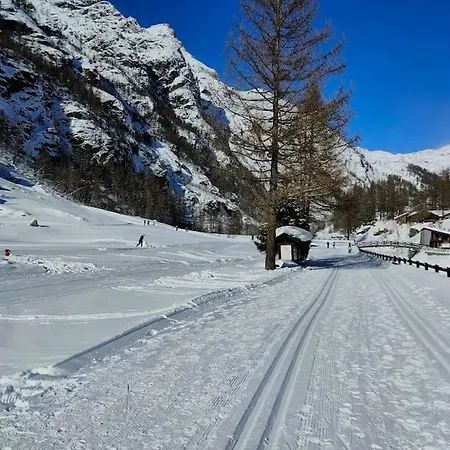 Trilocale Partenza Seggiovia Jolanda Trinite - Cir N 0009 * Gressoney-La-Trinite