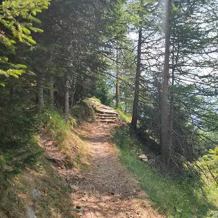 Trilocale Partenza Seggiovia Jolanda Trinite - Cir N 0009 Gressoney-la-Trinité